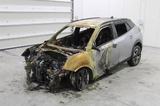 Peugeot 2008  picture 9