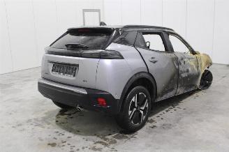 Peugeot 2008  picture 11