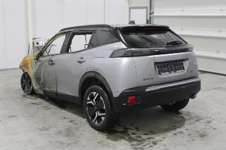 Peugeot 2008  picture 12