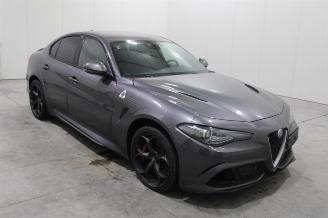 Alfa Romeo Giulia  picture 3