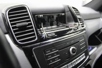 Mercedes GLE 250 picture 9