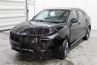 Schade bestelwagen DFSK Fengon 5  2022/12
