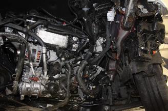 Volkswagen Polo  picture 16