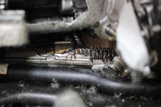 Volkswagen Polo  picture 19