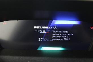 Peugeot 308  picture 12