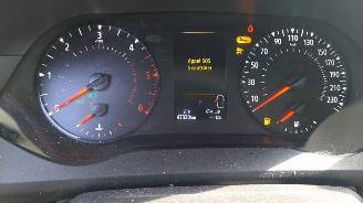 Renault Kangoo  picture 12