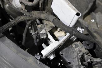 Renault Kangoo  picture 18