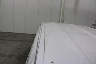 Renault Kangoo  picture 22