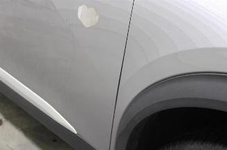 Peugeot 2008  picture 7