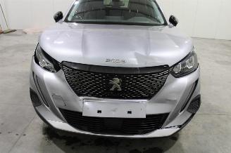 Peugeot 2008  picture 6