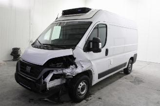 damaged passenger cars Fiat Ducato  2024/4