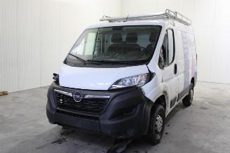 Damaged car Opel Movano  2023/2