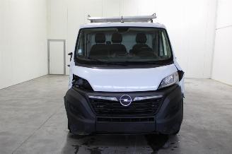 Opel Movano  picture 6