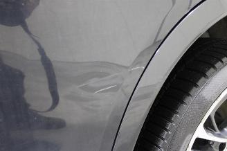 BMW X3  picture 18