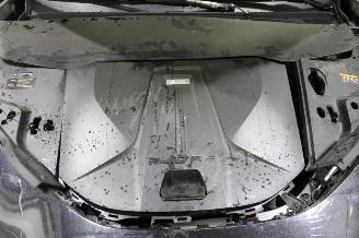 Lotus Eletre  picture 14