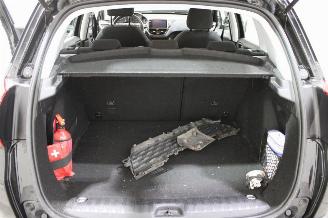 Peugeot 2008  picture 18