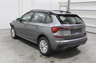 Skoda Kamiq  picture 4
