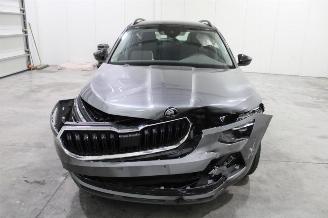 Skoda Kamiq  picture 6