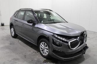 Skoda Kamiq  picture 2