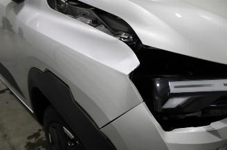 Dacia Spring  picture 8