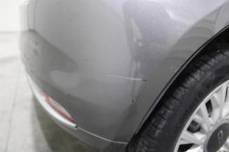 Fiat 500  picture 23