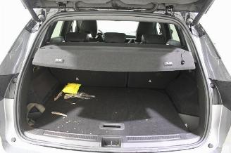 Renault Austral  picture 18