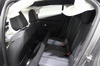 Peugeot 2008  picture 11