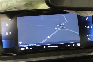 Peugeot 2008  picture 13