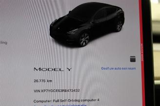 Tesla Model Y  picture 12