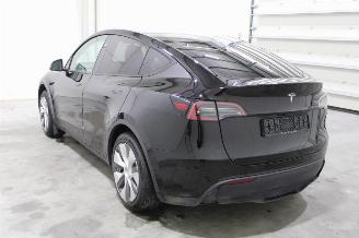 Tesla Model Y  picture 4