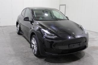 Tesla Model Y  picture 2