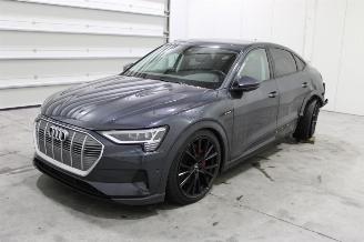 Schadeauto Audi E-tron  2022/1