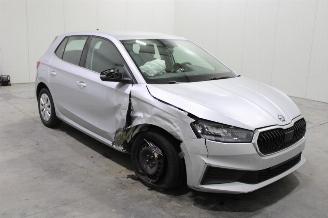 Skoda Fabia  picture 2