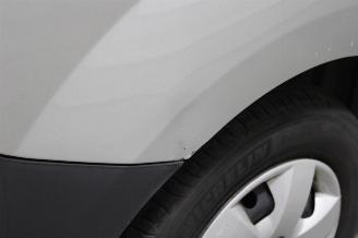 Renault Kangoo  picture 6