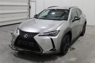 Damaged car Lexus UX  2021/5