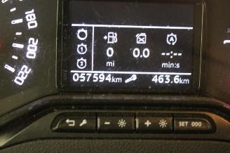 Citroën Berlingo  picture 11