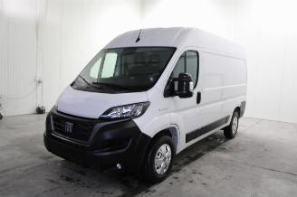 Auto da rottamare Fiat Ducato  2023/1
