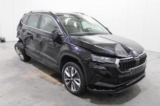 Skoda Karoq  picture 2