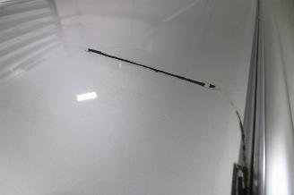 Toyota Corolla  picture 8