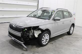 Schadeauto Skoda Kamiq  2019/12
