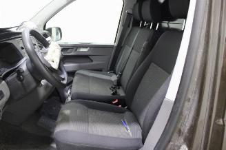 Volkswagen Transporter T6 picture 10