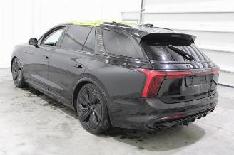 Hongqi EHS9 E-HS9 picture 5