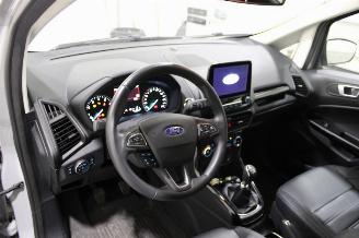 Ford EcoSport  picture 9