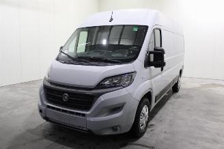 Dezmembrări autoturisme Fiat Ducato  2021/9