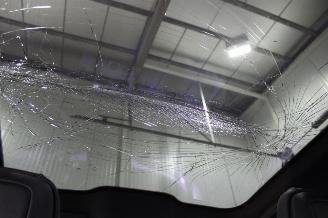 Ford Mustang  picture 11