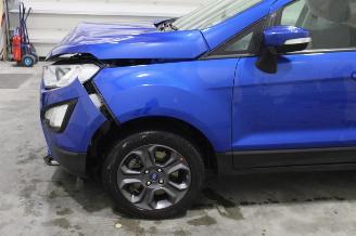 Ford EcoSport  picture 5