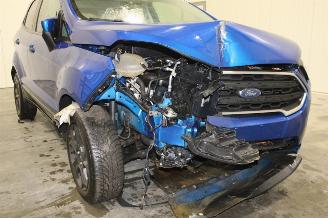 Ford EcoSport  picture 8