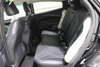 Ford Mustang Mach-e  picture 10