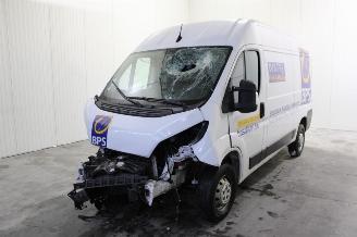 Unfallwagen Opel Movano  2022/12