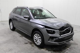 Skoda Kamiq  picture 2